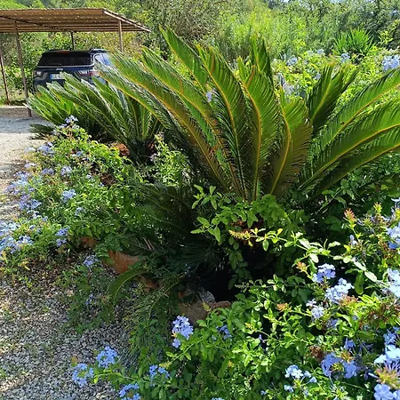 Sandra Appartement Porto Azzurro